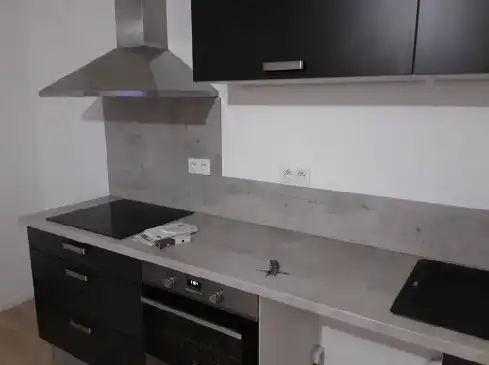 Visuel du bien 1