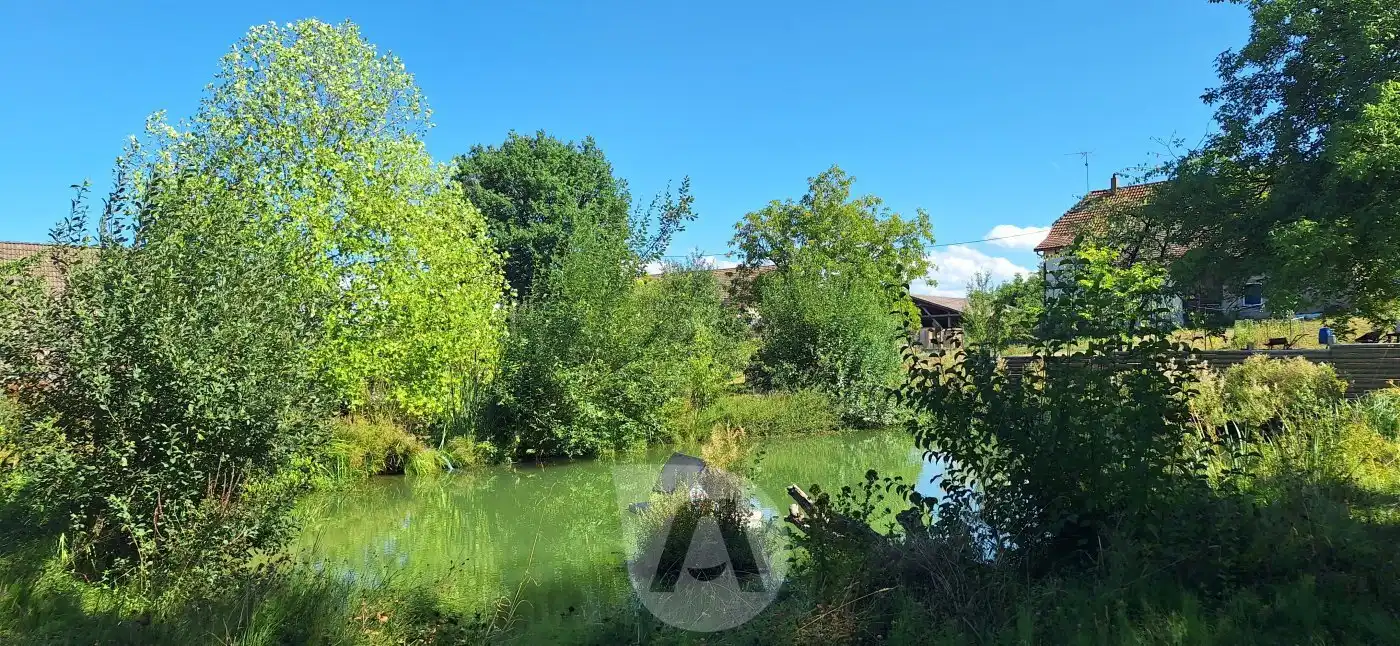 Visuel du bien 4