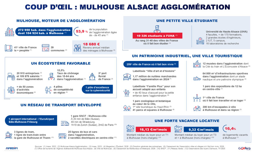 Infographie coup d’œil des atouts de l’immobilier à Mulhouse