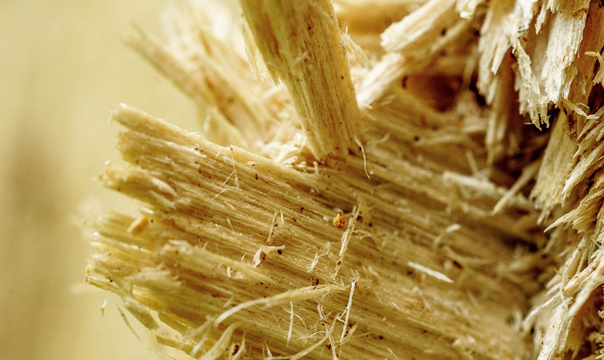 La fibre de chanvre, un isolant biosourcé.