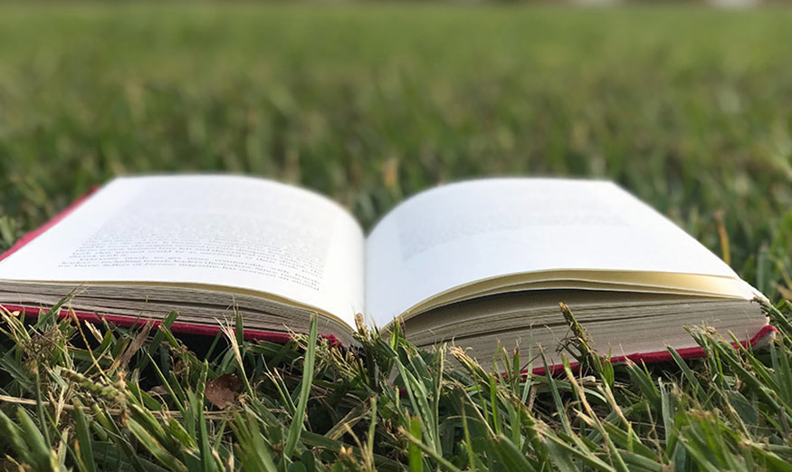 Livre ouvert dans l’herbe.