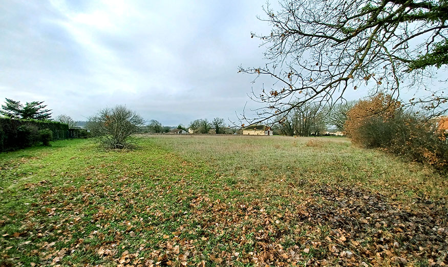 Les Vignes du Pinquat à la Lande-de-Fronsac (33).